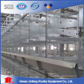 H Type Automatic/Semi Automatic Poultry Equipment for Layer Broiler Chicken Farm